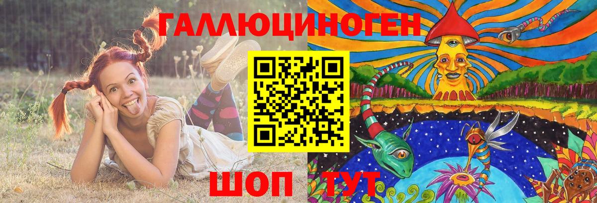 Губаха  Псилоцибиновые грибы мицелий  Вход с VPN  Галлюциногенные грибы Magic Shrooms 
